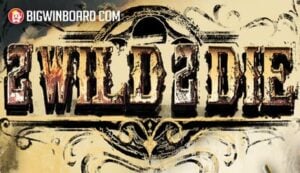 Double Fortune สูตร