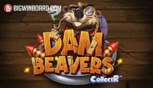 Double Fortune สูตร