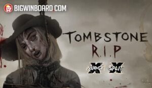 Tree of Fortune วิธีเล่น