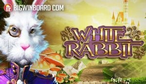 Flirting Scholar ทดลองเล่นฟรี