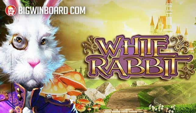 Fortune Tiger รีวิว